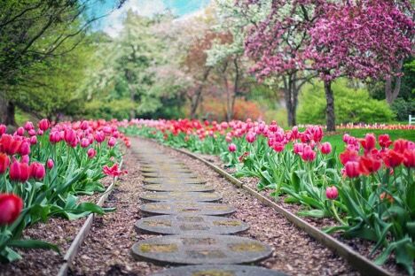 How to Start a Landscaping Business